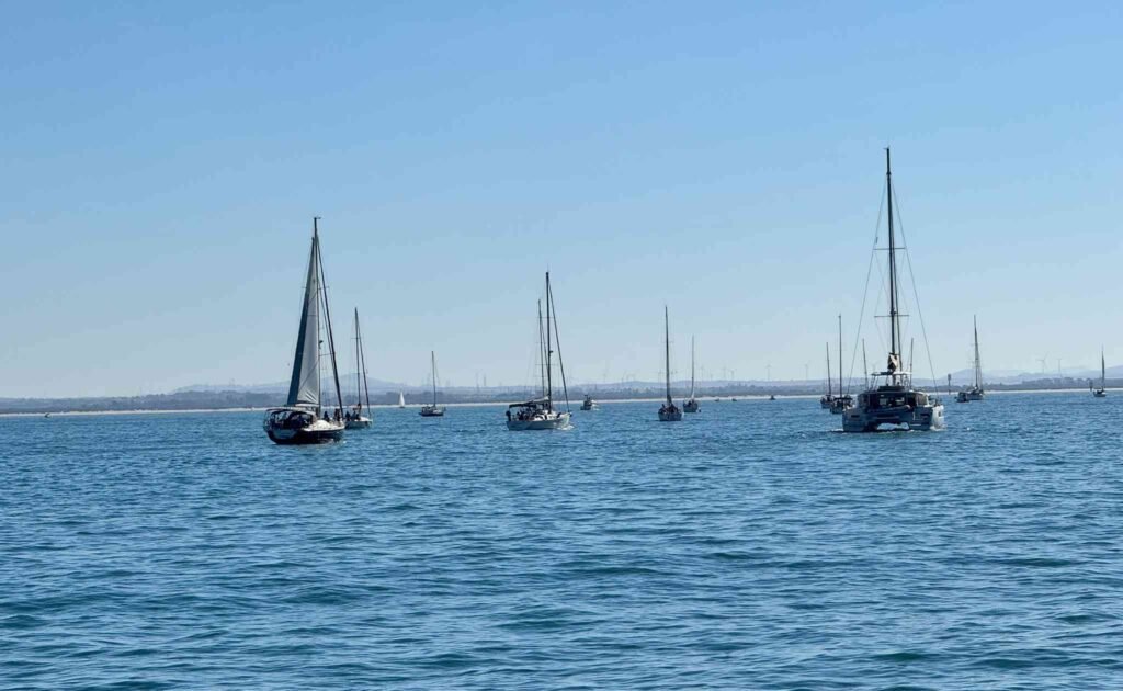 Veleros y catamaranes navegando en la Bahía de Cádiz durante una jornada de actividades náuticas.