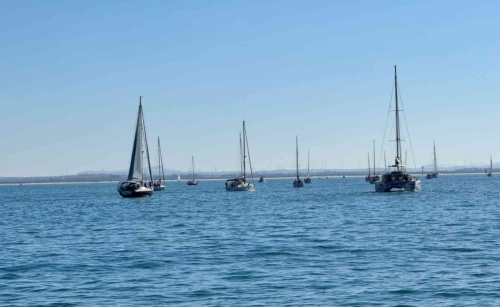 Veleros y catamaranes navegando en la Bahía de Cádiz durante una jornada de actividades náuticas.