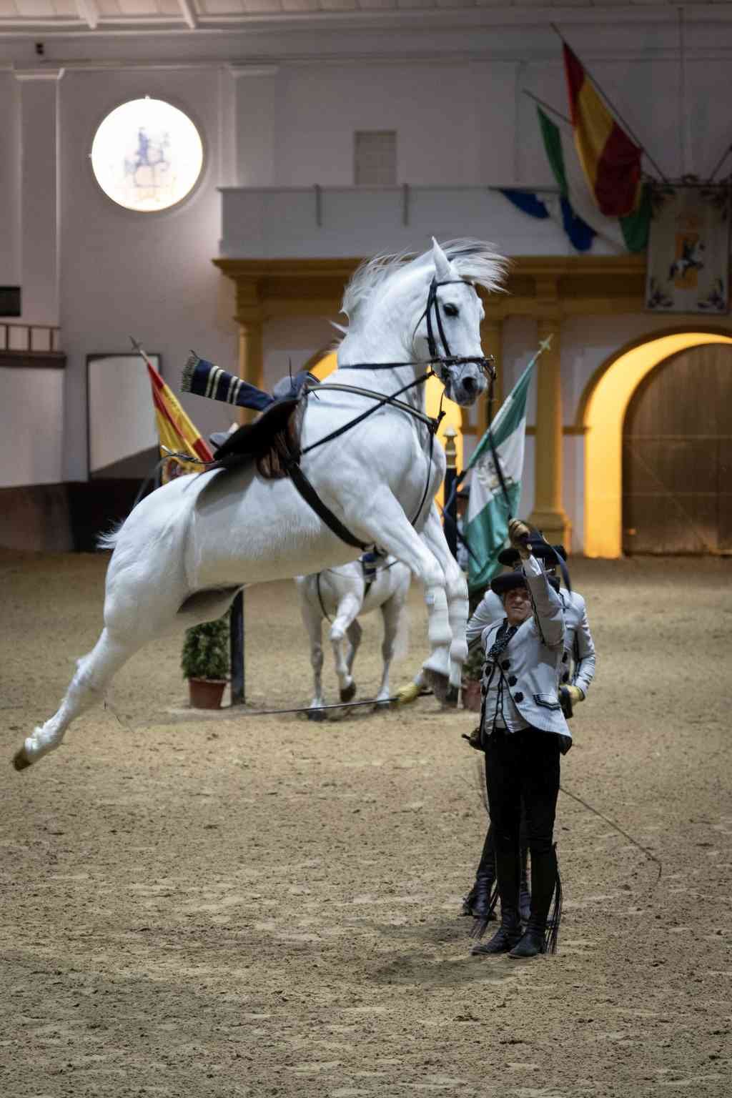 Classical dressage jump performance during the How the Andalusian Horses Dance show at the Royal School in Jerez. (114 caracteres)