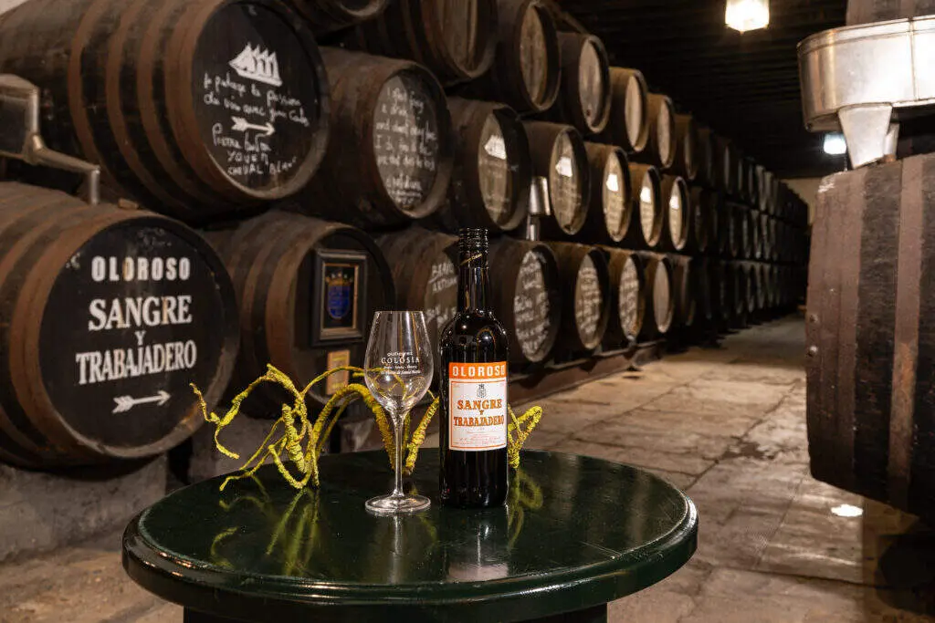 Bottle of Sangre y Trabajadero oloroso wine next to aged oak barrels at Gutiérrez Colosía Winery in El Puerto de Santa María.
