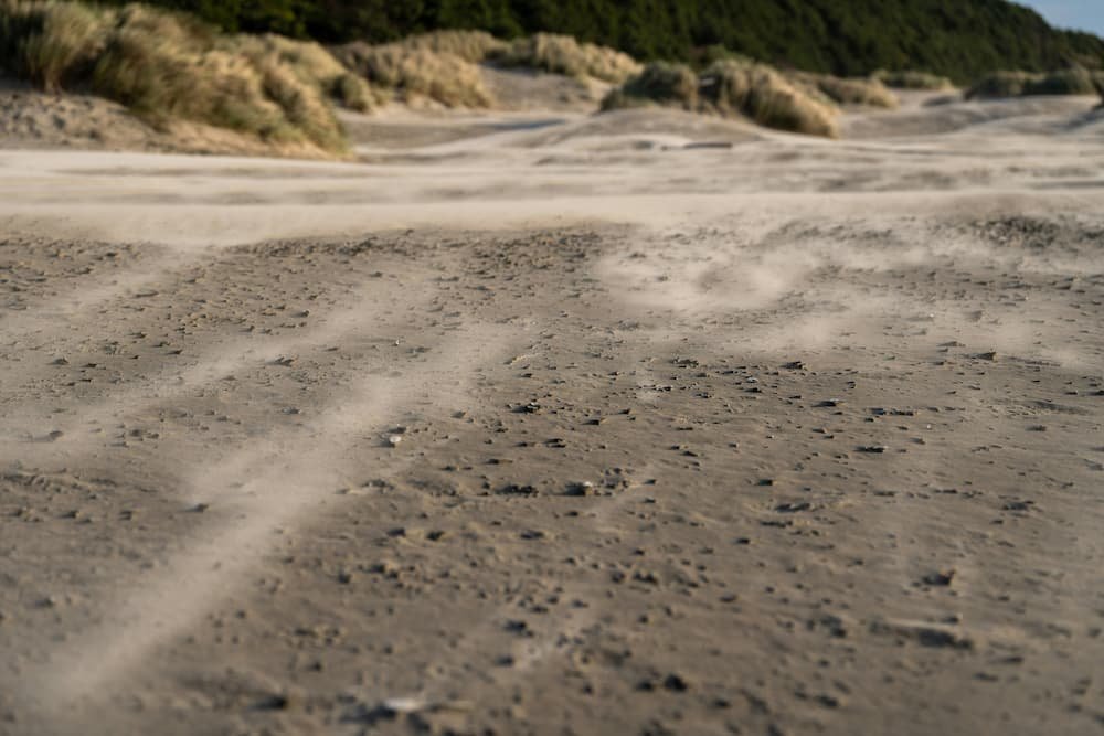 Sand blowing across the coastal dunes near Puerto Sherry due to the constant action of westerly winds.